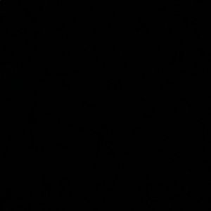 Meet your Posher, Ruth